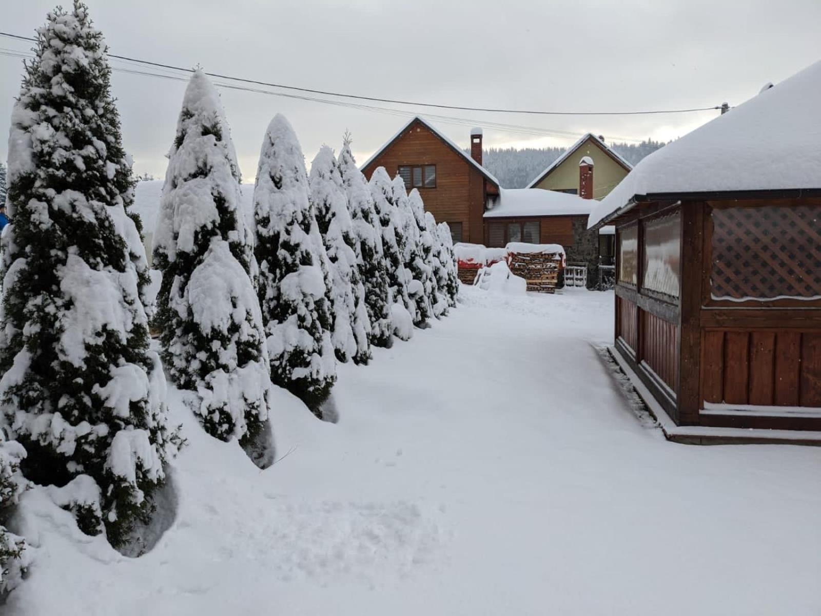 Aura Karpat Hotell Bukovel Exteriör bild