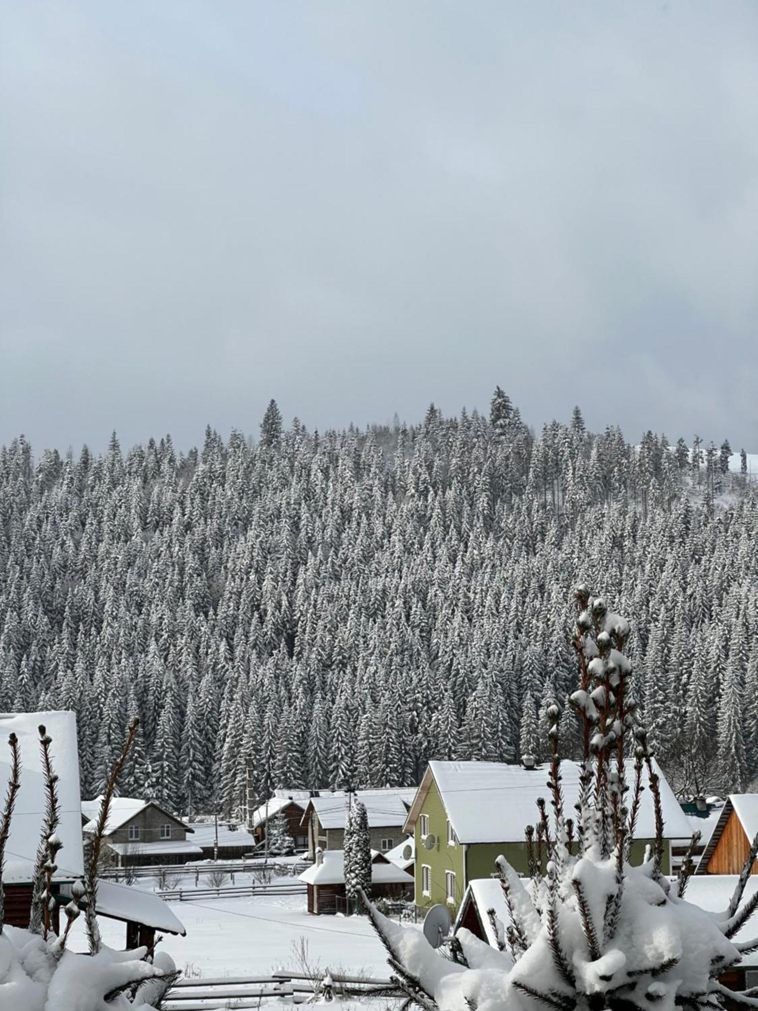 Aura Karpat Hotell Bukovel Exteriör bild